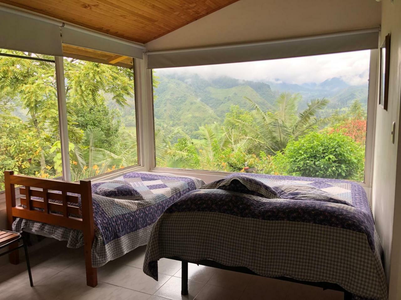 Salento Finca Hotel Mundo Nuevo Eksteriør bilde