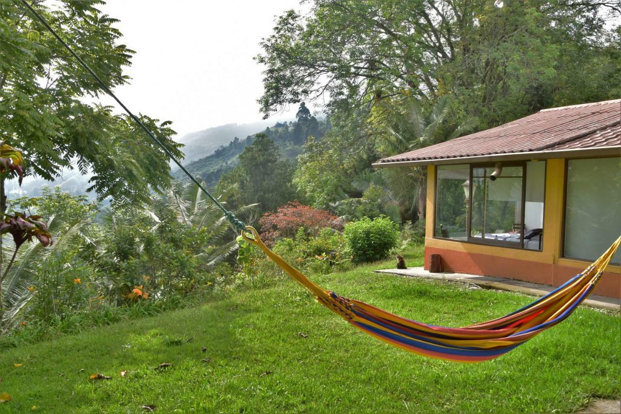 Salento Finca Hotel Mundo Nuevo Eksteriør bilde