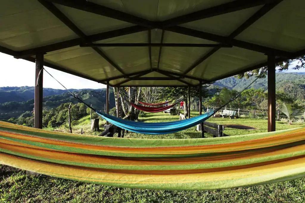 Salento Finca Hotel Mundo Nuevo Eksteriør bilde